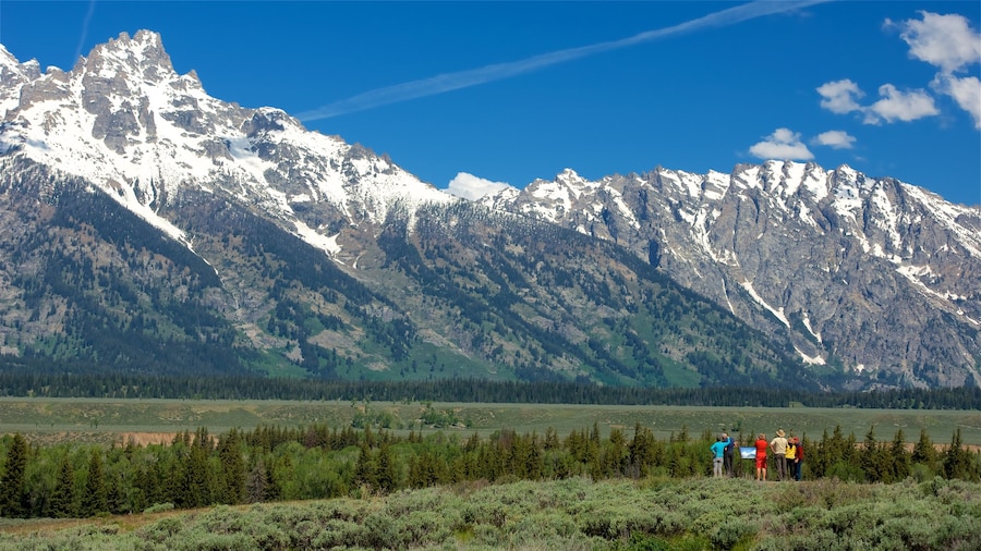 Parque Nacional Grand Teton mostrando situaciones tranquilas, montañas y vistas panorámicas