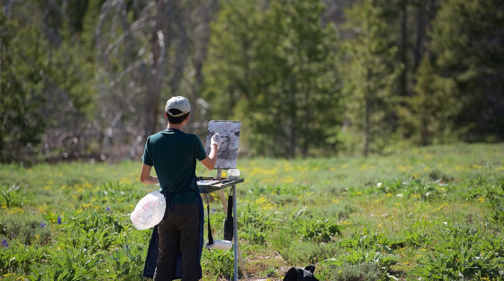 Parque Nacional Grand Teton ofreciendo escenas tranquilas y arte y también un hombre