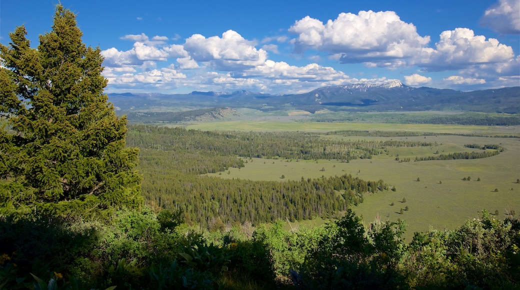 Parc National de Grand Teton qui includes scĂšnes tranquilles et panoramas