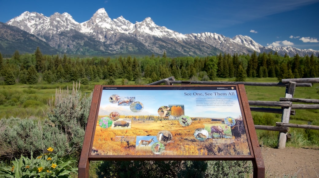 Grand Teton National Park caracterizando montanhas, cenas tranquilas e paisagem