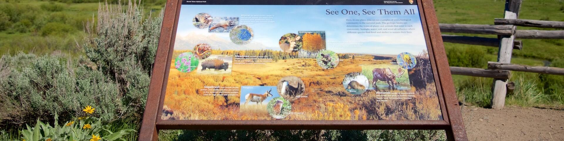 Grand Teton National Park featuring mountains, landscape views and tranquil scenes