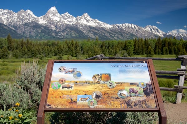 Grand Teton National Park featuring mountains, landscape views and tranquil scenes