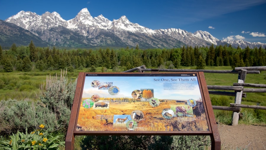 Parque Nacional Grand Teton mostrando montañas, vistas panorámicas y señalización