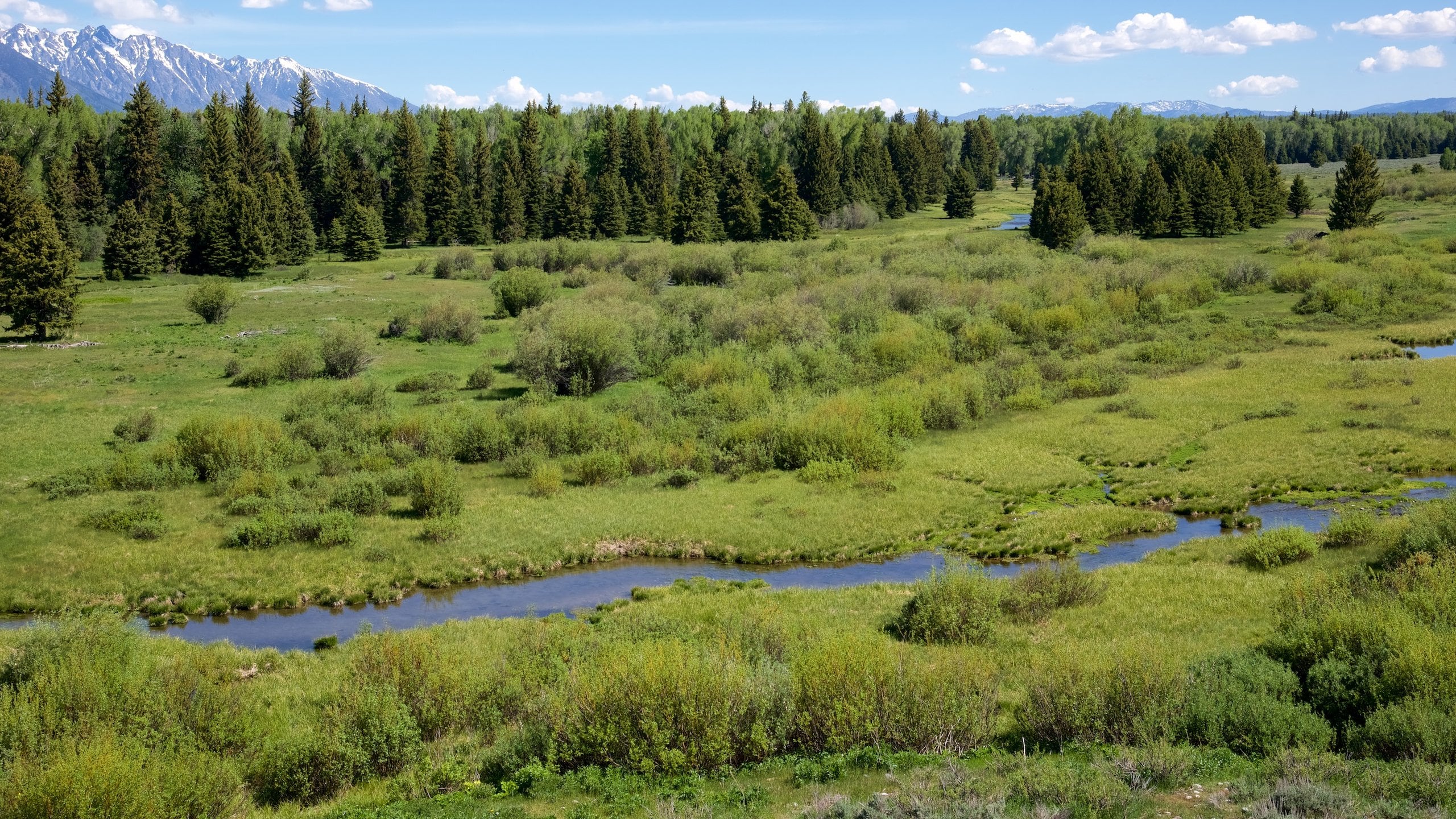 Blacktail Ponds Overlook, Moose Vacation Rentals house rentals & more Vrbo