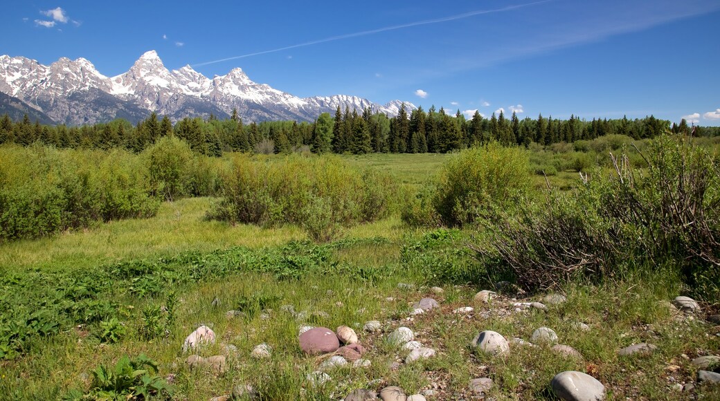 Grand Teton National Park which includes landscape views and tranquil scenes