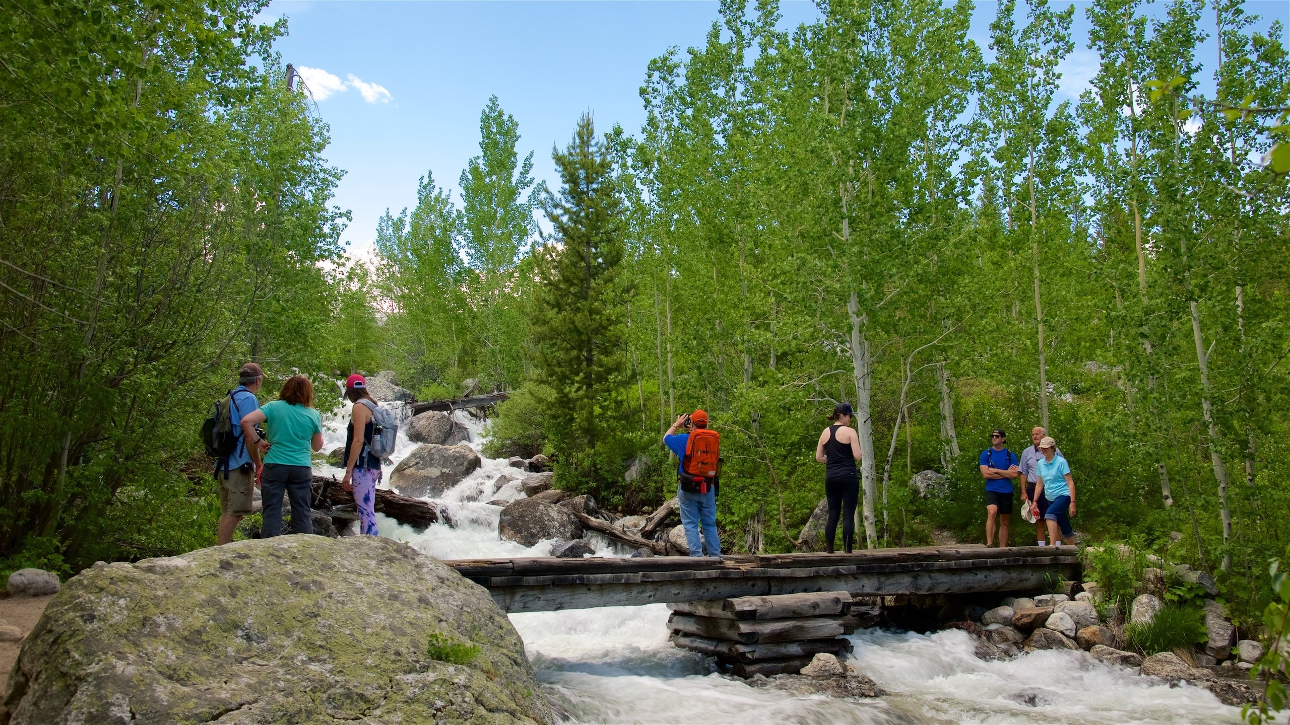 Parque Nacional Grand Teton ofreciendo rápidos, un puente y un río o arroyo