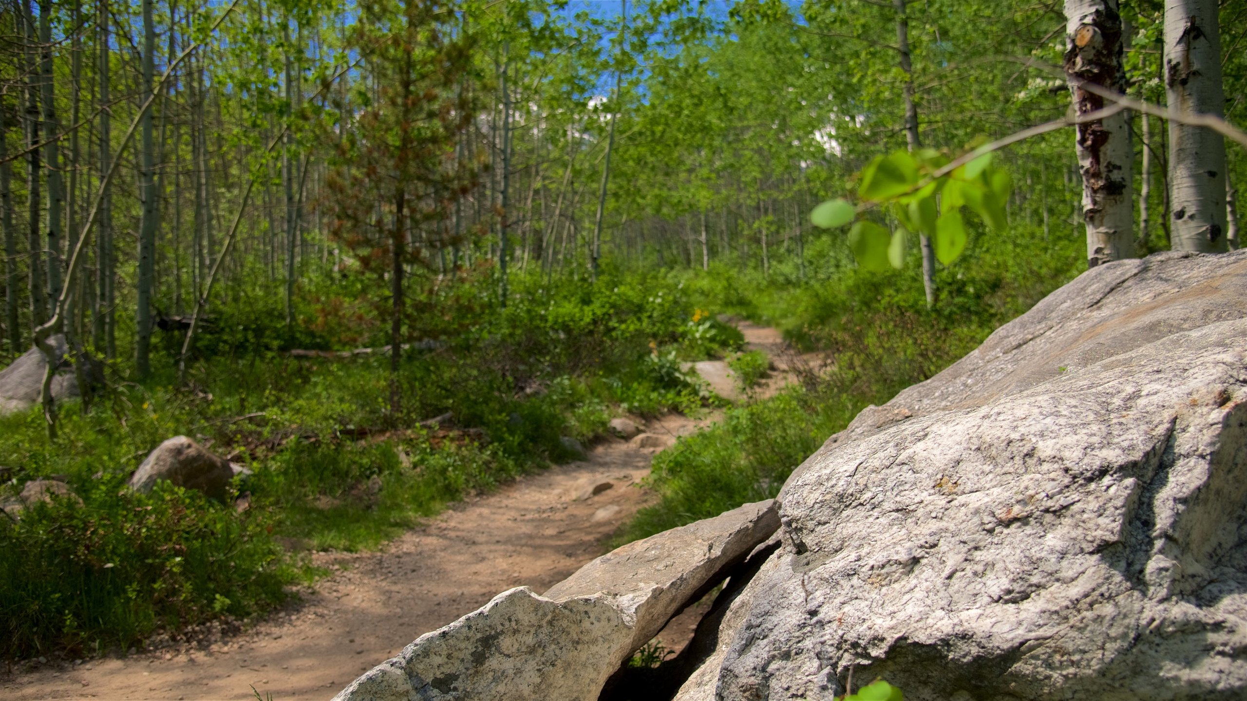 Chaco teton clearance