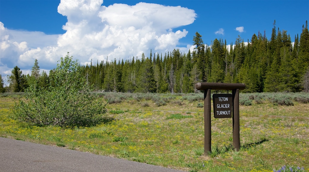 Grand Teton National Park inclusief bewegwijzering, landschappen en vredige uitzichten