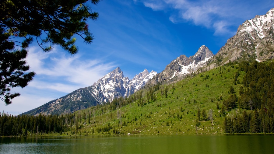 Grand Teton National Park which includes a lake or waterhole, mountains and landscape views