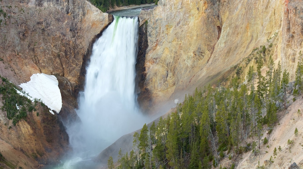 Gran Cañón de Yellowstone ofreciendo una cascada, rápidos y un barranco o cañón