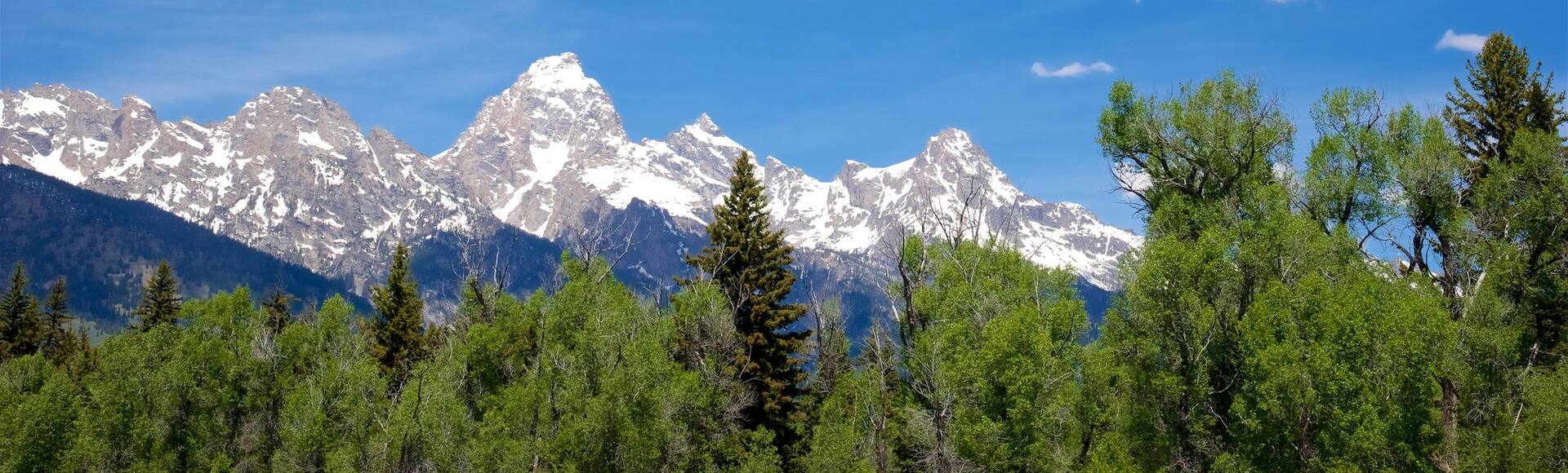 248436JennyLakeVisitorCenter.jpg?impolicy=fcrop&w=1920&h=580&q=medium