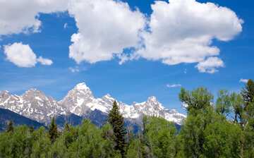 ジェニー レイク ビジター センター ムース旅行 エクスペディア ジェニー レイク ビジター センター ムース旅行 エクスペディア