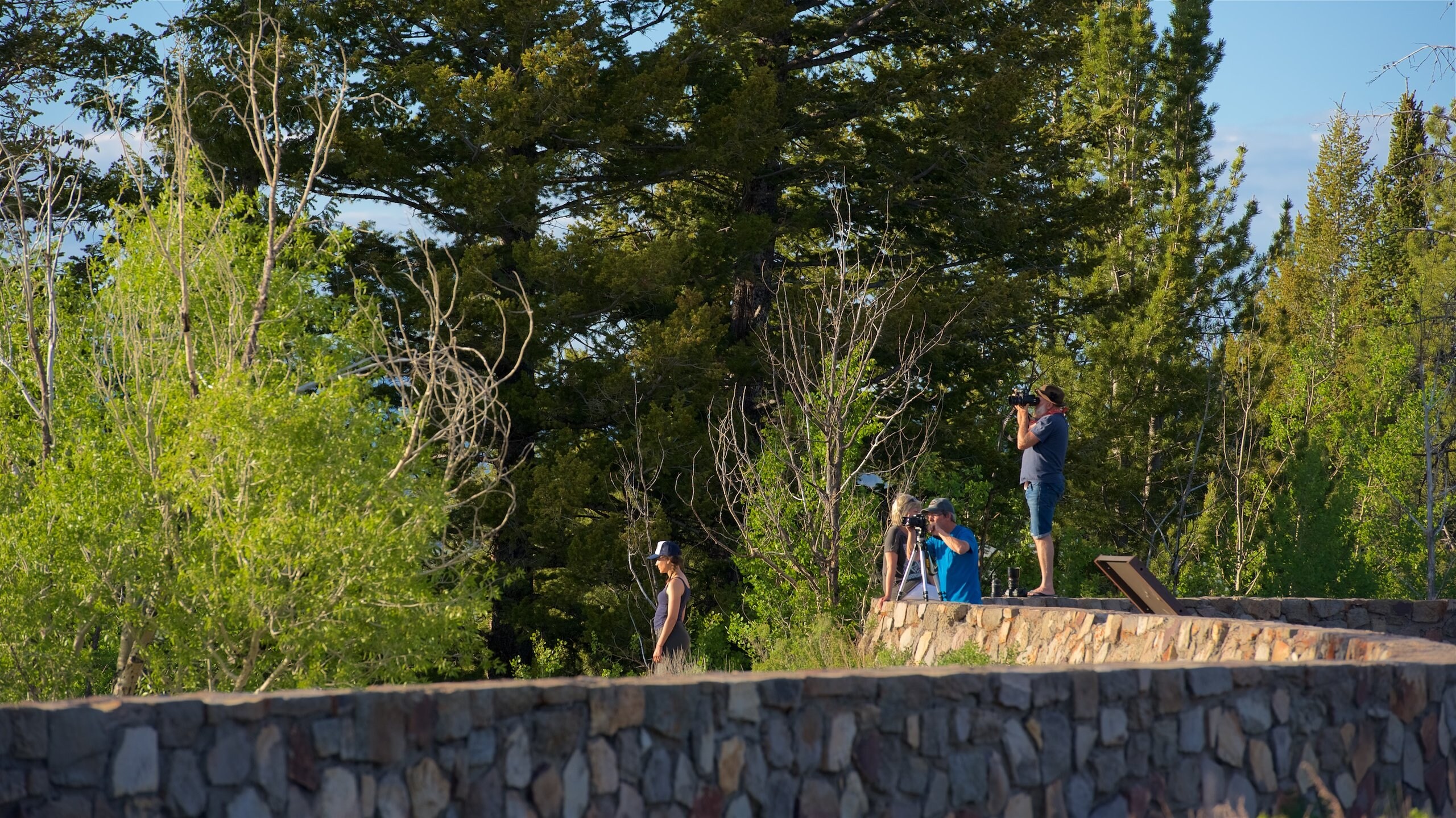 Snake River Overlook, Moose Vacation Rentals house rentals & more Vrbo