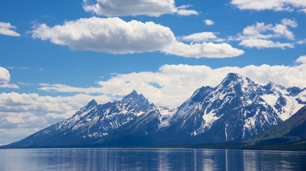 Jackson Lake which includes mountains and a lake or waterhole