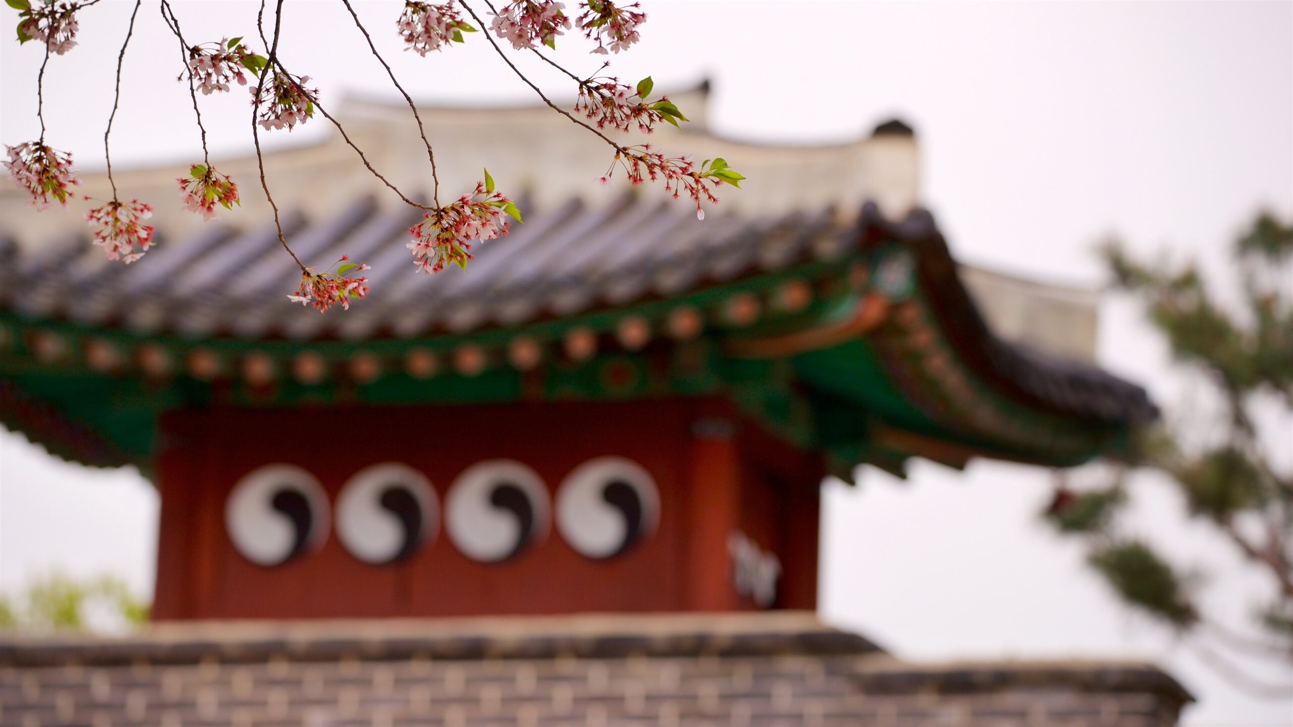 Gyeonggi, Sydkorea