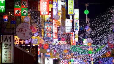 Suwon which includes night scenes