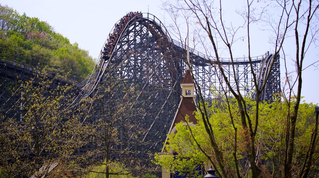 Everland featuring rides as well as a small group of people