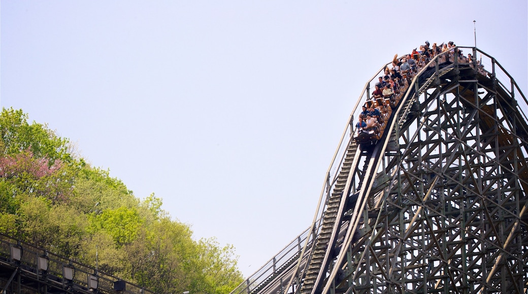 Everland mostrando paseos y también un pequeño grupo de personas