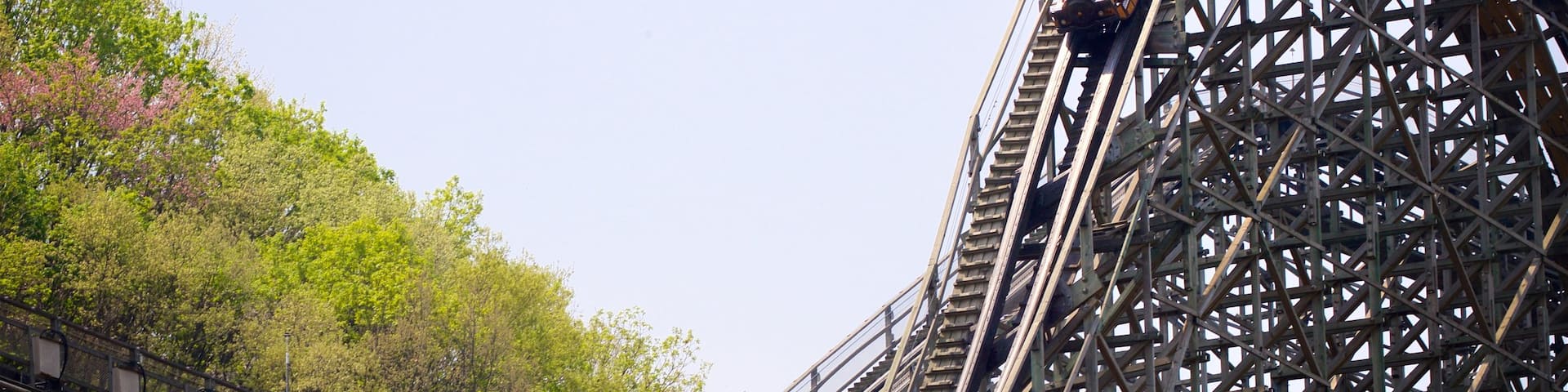 Everland showing rides as well as a small group of people