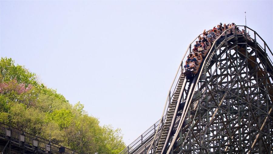 Everland showing rides as well as a small group of people