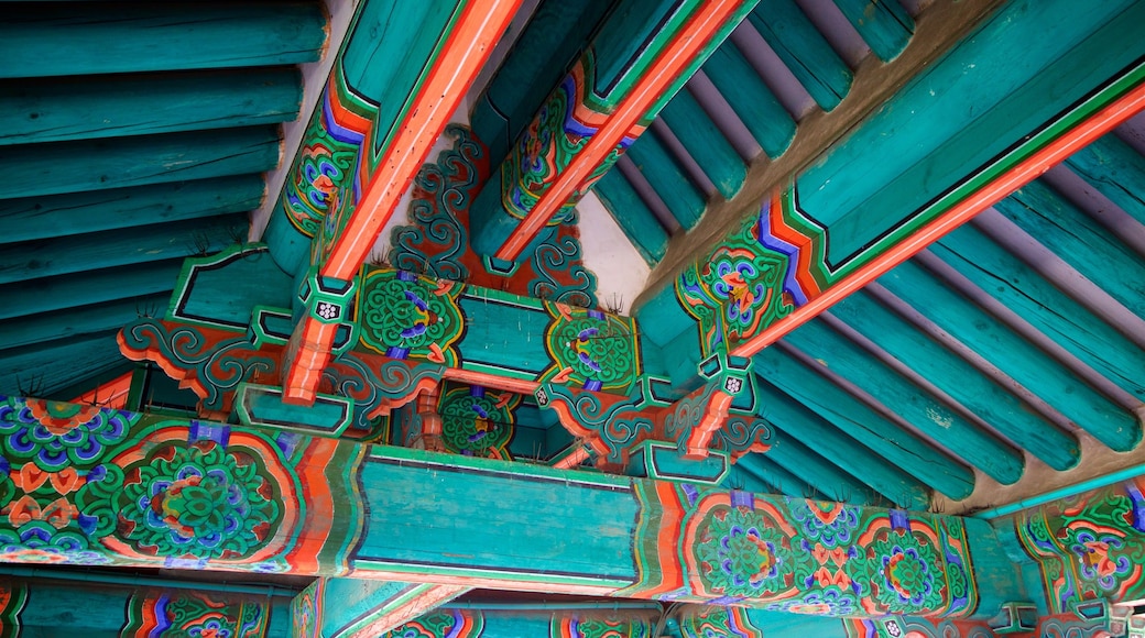 苍龙门