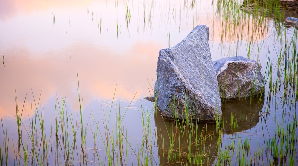 Wolmi Traditional Park das einen Teich und Sonnenuntergang