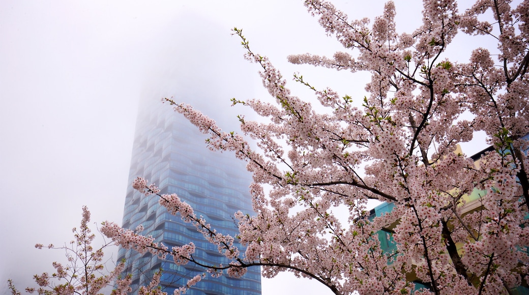 NC Cube Canal Walk featuring a skyscraper, wild flowers and mist or fog