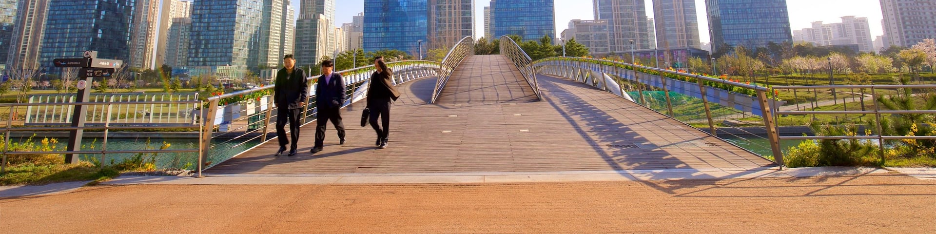 Songdo Central Park showing a high rise building, a bridge and a city