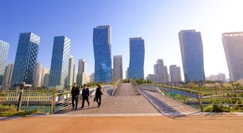 Songdo Central Park showing a city, a high-rise building and a bridge