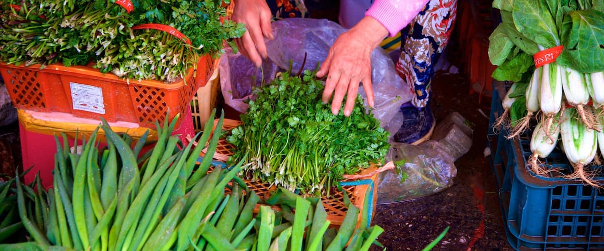 Ganghwa featuring food and markets as well as an individual female