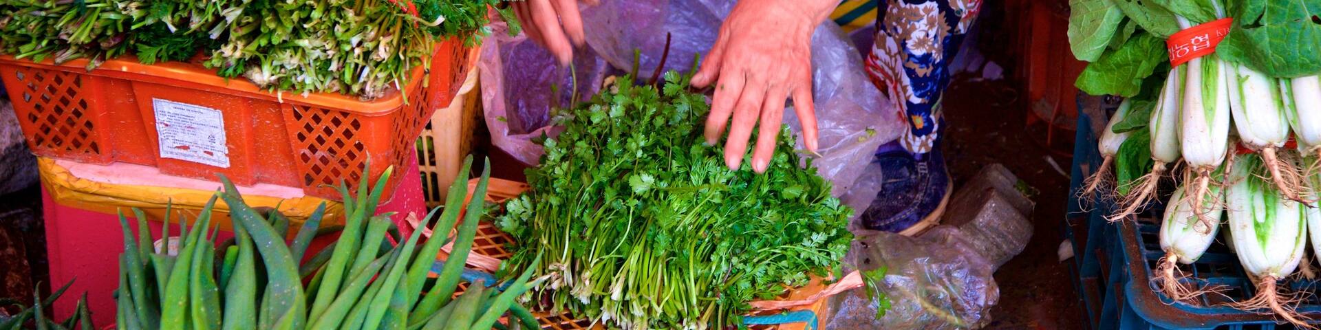 Ganghwa featuring food and markets as well as an individual female