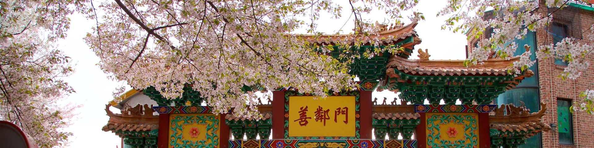 Chinatown showing heritage elements and wildflowers