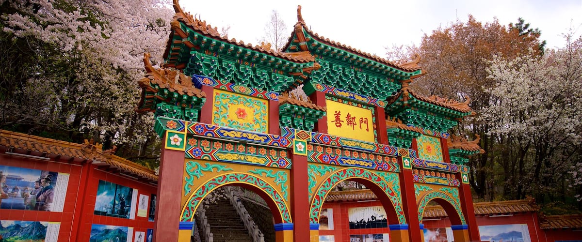 Chinatown which includes heritage elements, signage and outdoor art