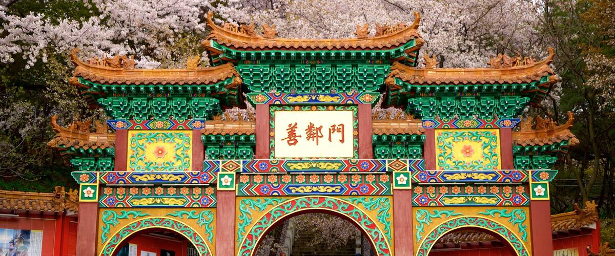 Chinatown which includes heritage elements, signage and wild flowers