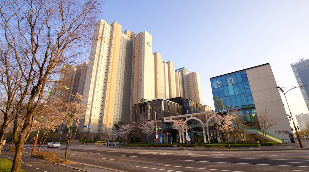 NC Cube Canal Walk which includes a city and a sunset