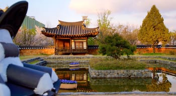 月尾傳統公園 设有 花園, 傳統元素 和 夕陽