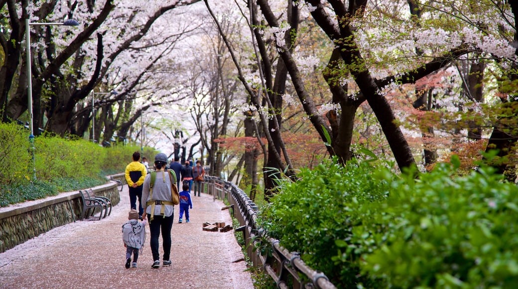 Jayu Park showing a park and wildflowers as well as a family