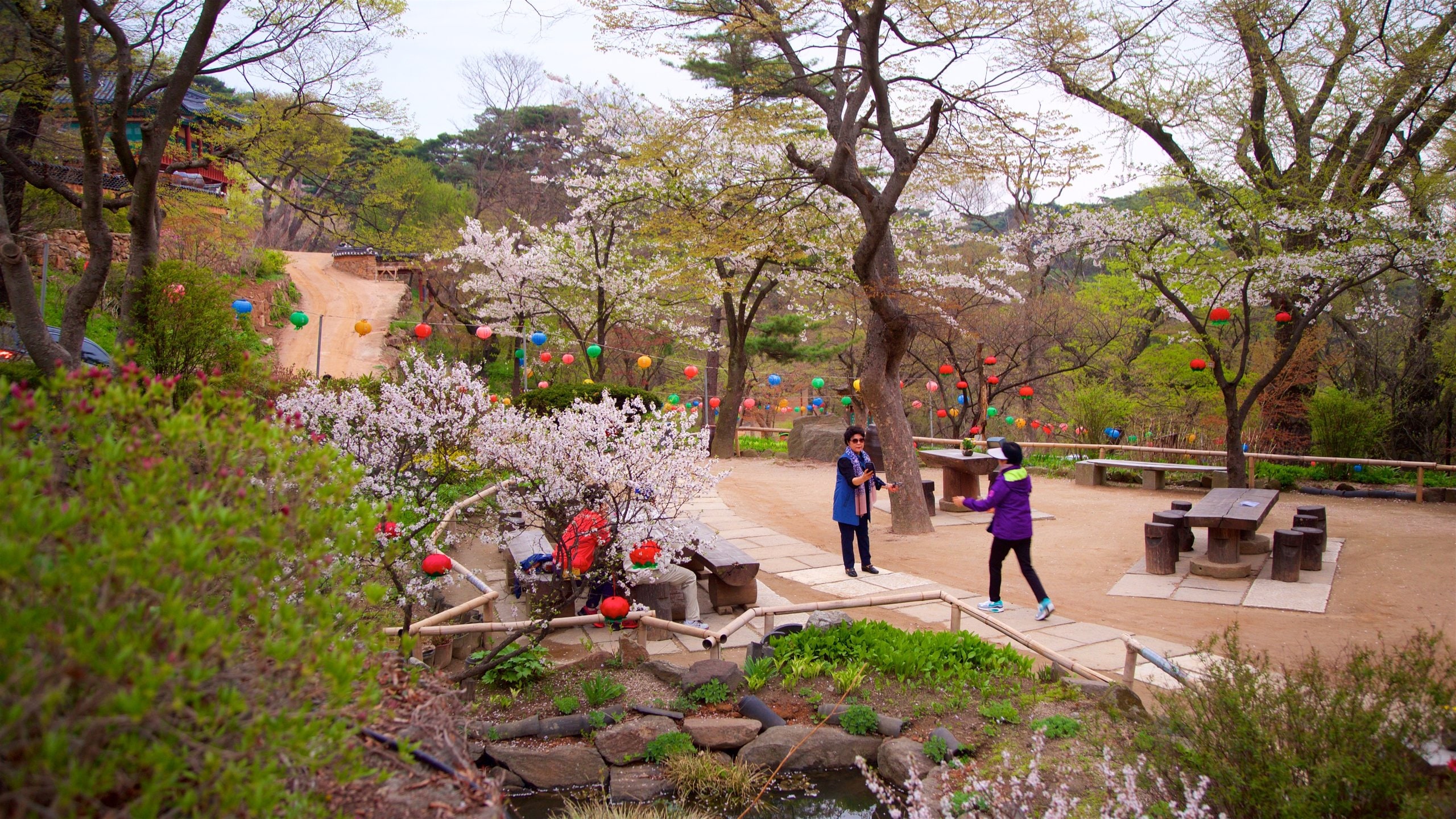 Jeondeungsa Temple featuring wildflowers and a park as well as a couple