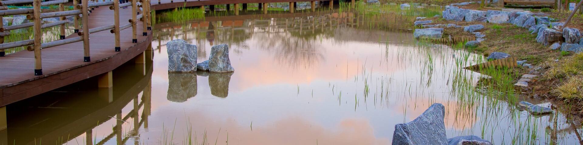 Wolmi Traditional Park which includes a garden, a sunset and a bridge