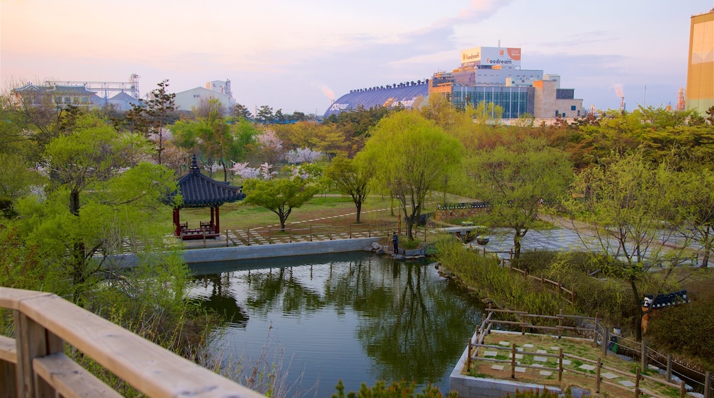 月尾傳統公園 设有 城市, 夕陽 和 池塘