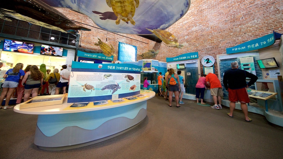 Georgia Sea Turtle Center showing interior views and marine life as well as a small group of people