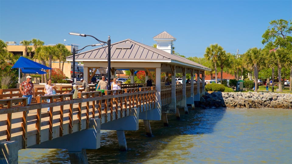 St. Simons Island Pier que incluye un puente y un río o arroyo y también un pequeño grupo de personas