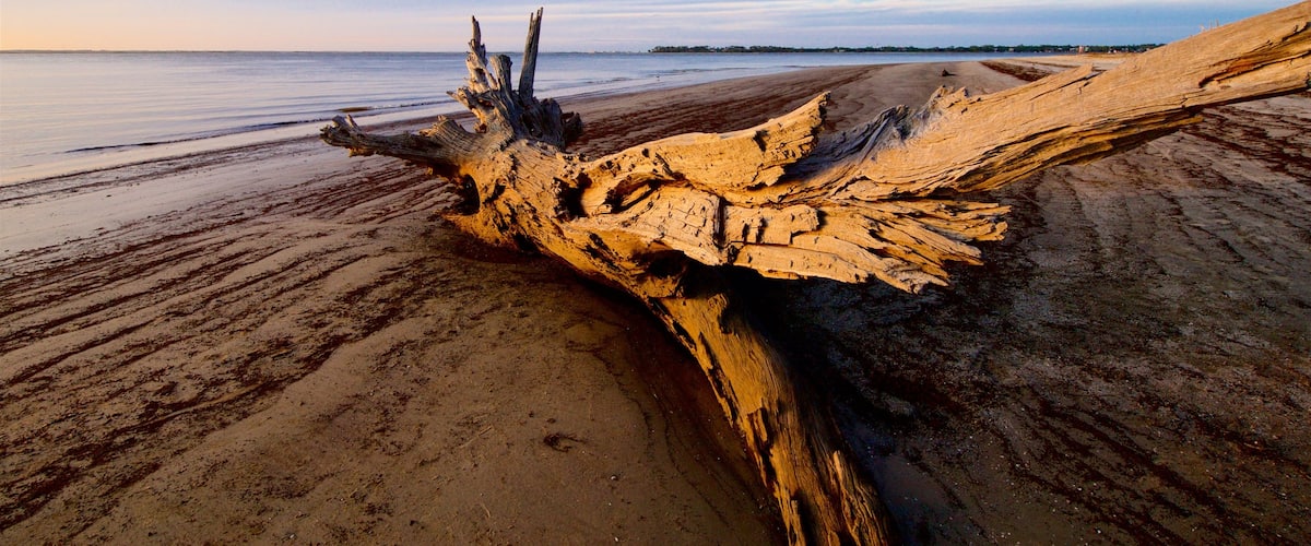 Driftwood Beach which includes landscape views, general coastal views and a sunset