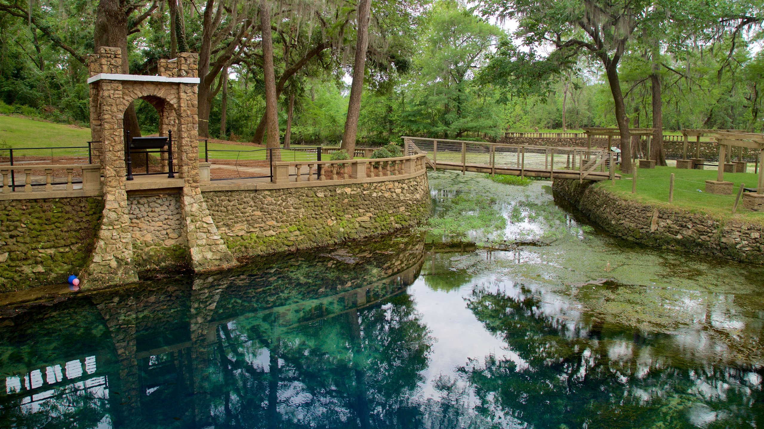 Parc Radium Springs Gardens montrant parc, pont et mare