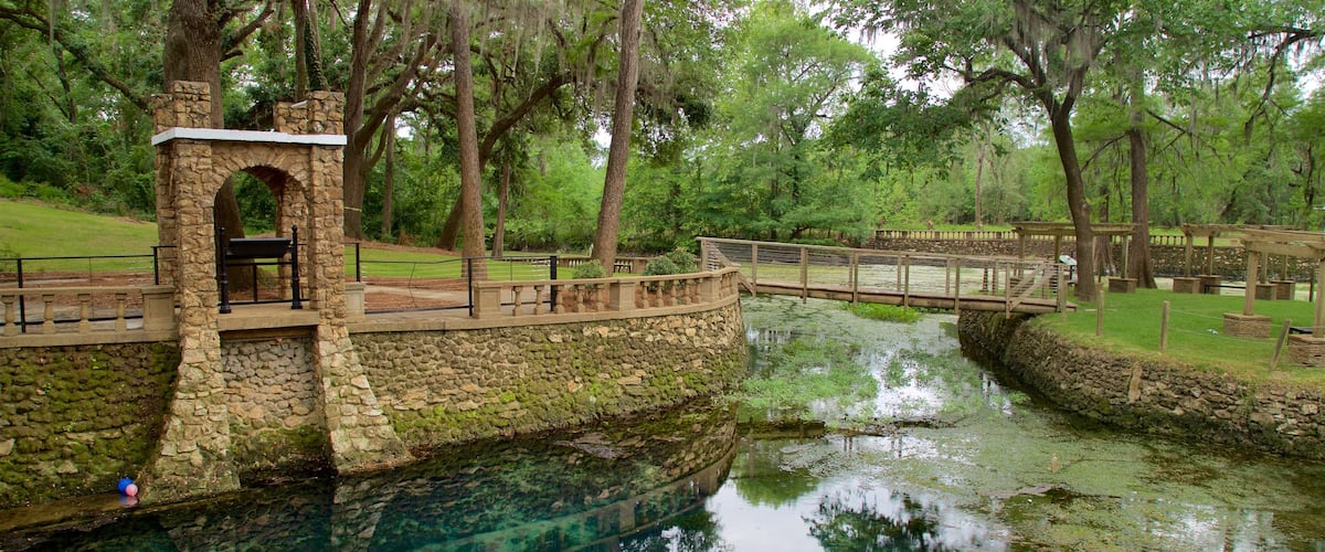Jardines de Radium Springs ofreciendo un parque, un estanque y un puente