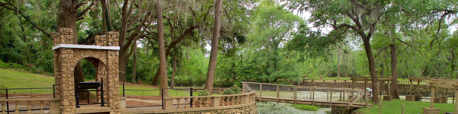Radium Springs Gardens showing a bridge, a garden and a pond
