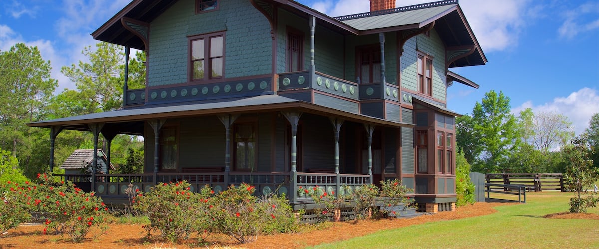 Georgia Museum of Agriculture and Historic Village showing a house and wildflowers