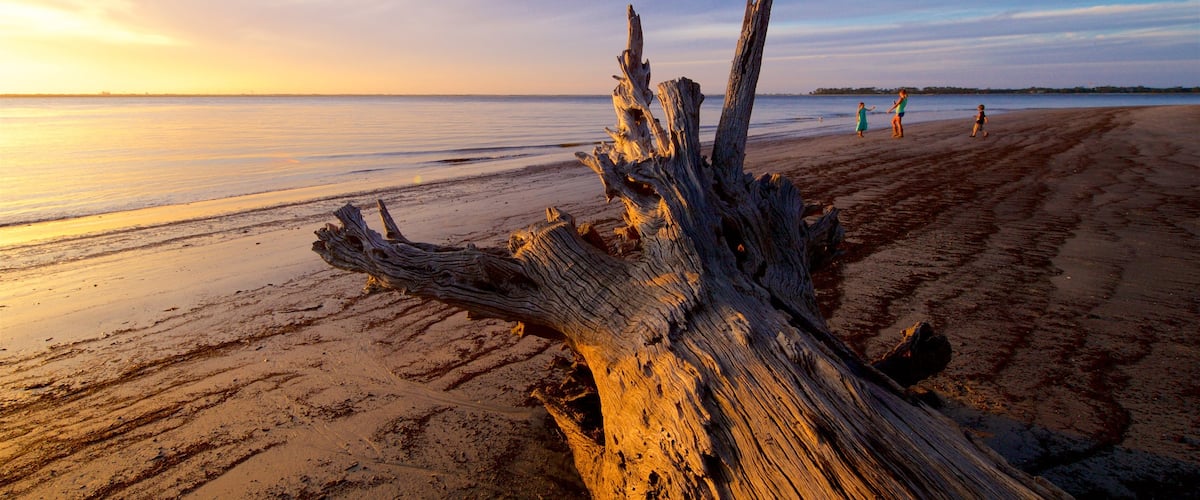 Driftwood Beach inclusief een strand, een zonsondergang en algemene kustgezichten