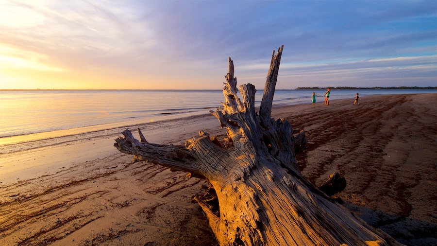 Driftwood Beach mostrando una playa, vistas generales de la costa y una puesta de sol