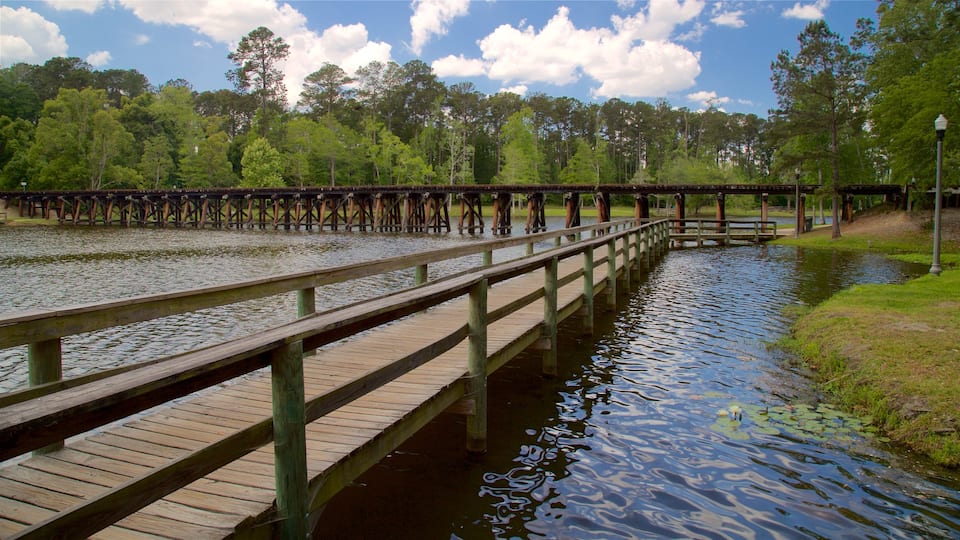 Thomasville showing a bridge and a river or creek
